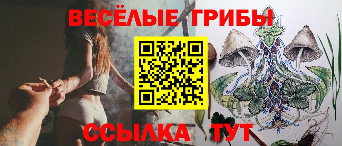 Ессентуки  Псилоцибиновые грибы Magic Shrooms  Вход с VPN 