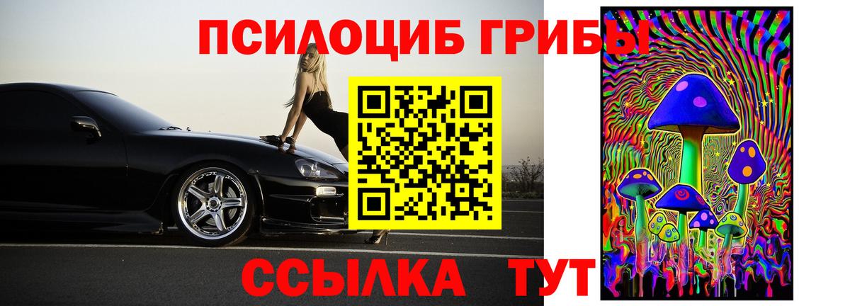 Псилоцибиновые грибы Cubensis Ессентуки